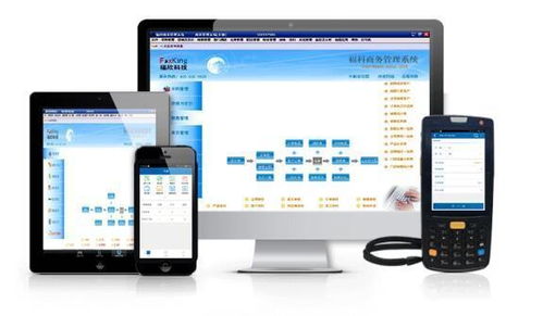 广东喜记食品携手福科软件，以数字化解决方案提升运营效率促长远发展