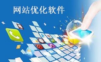 软件专题 软件销售的策略与趋势